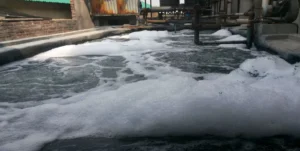 Effluent treatment process in a textile manufacturing facility